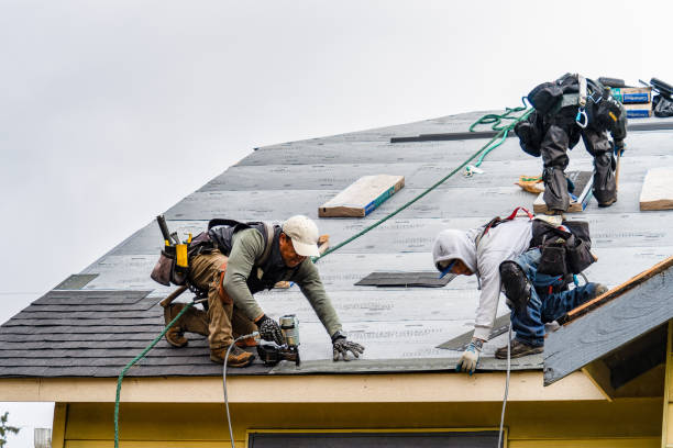 Professional Roofing technician working in Washburn, ND